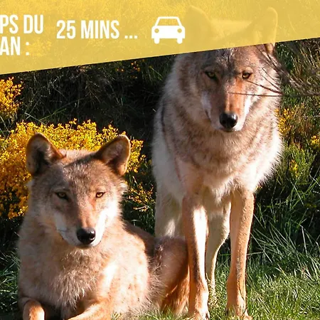 Les Hourtous Netflix Wi-fi Fibre Terasse 4 Pers * Banassac