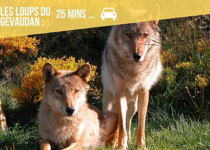 Les Hourtous Netflix Wi-fi Fibre Terasse 4 Pers * Banassac
